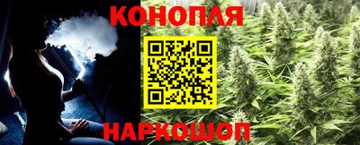 спайс Аша