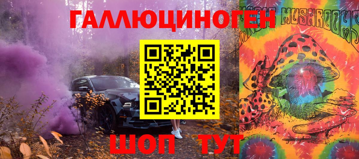 Галлюциногенные грибы Psilocybe Барнаул